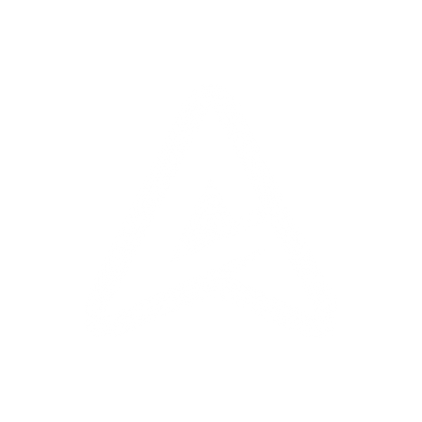 AURA SECTIONS