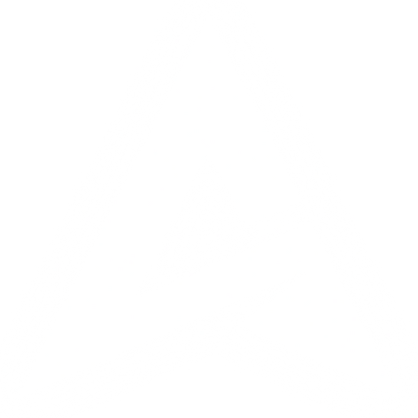 AURA SECTIONS
